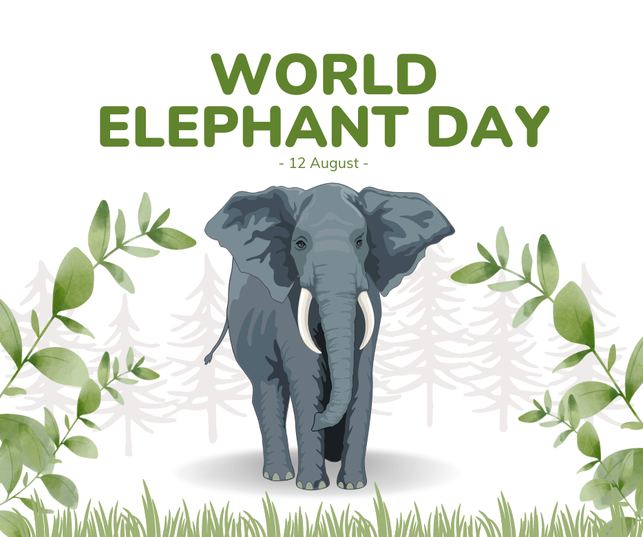 World Elephant Day | जागतिक हत्ती दिवस